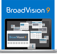 broadvision9-min